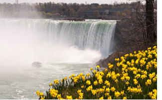 Niagara Falls in the spring