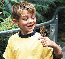 Butterfly Conservatory